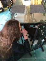 IMG-20171215-WA0014.jpg IMG-20171215-WA0014.jpg