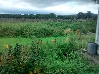 IMG_20170904_140626088_HDR.jpg IMG_20170904_140626088_HDR.jpg