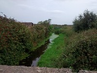 IMG_20170906_181946072.jpg IMG_20170906_181946072.jpg