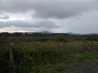 IMG_20170906_183746784.jpg IMG_20170906_183746784.jpg