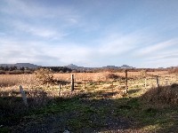 IMG_20171213_135224365_HDR.jpg IMG_20171213_135224365_HDR.jpg