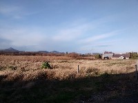 IMG_20171213_135555433.jpg IMG_20171213_135555433.jpg