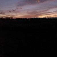 P1030126.JPG P1030126.JPG