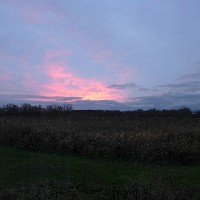 P1030127.JPG P1030127.JPG