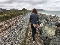 IMG-20170923-WA0057.jpg IMG-20170923-WA0057.jpg