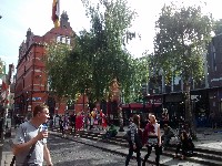 IMG_20170925_122553950.jpg IMG_20170925_122553950.jpg