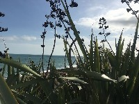 IMG-20171014-WA0007.jpg IMG-20171014-WA0007.jpg