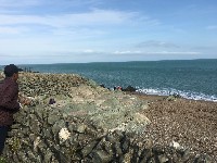 IMG-20171014-WA0011.jpg IMG-20171014-WA0011.jpg