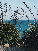 Snapchat-2137896680.jpg Snapchat-2137896680.jpg