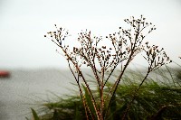 P1020621.jpg P1020621.jpg