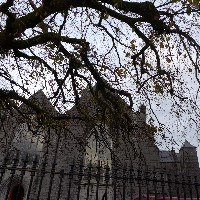 P1020639.JPG P1020639.JPG