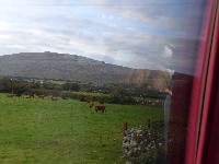 P1020773.JPG P1020773.JPG