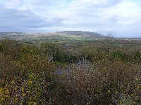 P1020778.JPG P1020778.JPG