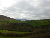 P1020911.JPG P1020911.JPG