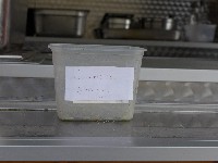 P1020936.JPG P1020936.JPG