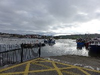 P1020938.JPG P1020938.JPG