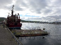 P1020947.JPG P1020947.JPG