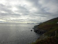 P1020958.JPG P1020958.JPG