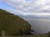 P1020968.JPG P1020968.JPG