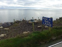 P1020971.JPG P1020971.JPG