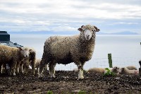 P1020974.jpg P1020974.jpg