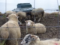 P1020982.JPG P1020982.JPG