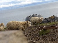 P1020988.JPG P1020988.JPG