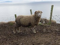 P1020995.JPG P1020995.JPG