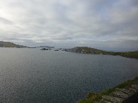 P1030004.JPG P1030004.JPG