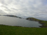 P1030013.JPG P1030013.JPG