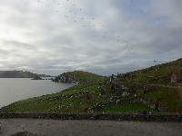 P1030015.JPG P1030015.JPG