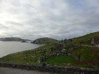 P1030016.JPG P1030016.JPG