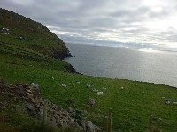 P1030020.JPG P1030020.JPG