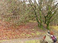 P1030167.JPG P1030167.JPG