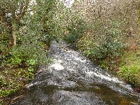 P1030198.JPG P1030198.JPG