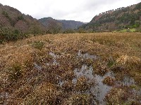 P1030200.JPG P1030200.JPG