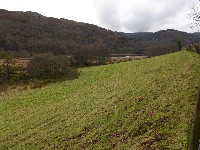 P1030205.JPG P1030205.JPG