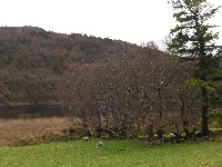 P1030208.JPG P1030208.JPG