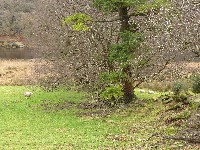 P1030209.JPG P1030209.JPG