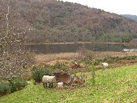 P1030210.JPG P1030210.JPG