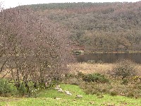 P1030213.JPG P1030213.JPG