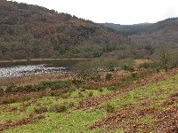 P1030214.JPG P1030214.JPG