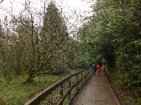 P1030217.JPG P1030217.JPG