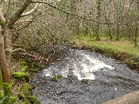 P1030218.JPG P1030218.JPG