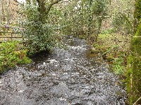 P1030219.JPG P1030219.JPG