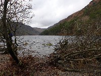 P1030221.JPG P1030221.JPG