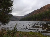 P1030228.JPG P1030228.JPG