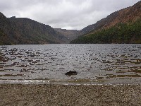 P1030231.JPG P1030231.JPG