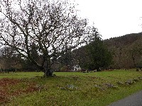 P1030237.JPG P1030237.JPG