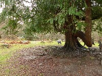 P1030238.JPG P1030238.JPG